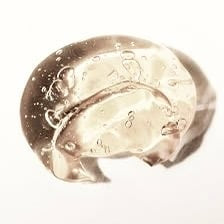 THE SKIN LAB HK Centella Calming Gel Mask 積雪草鎮靜舒緩啫喱凍膜